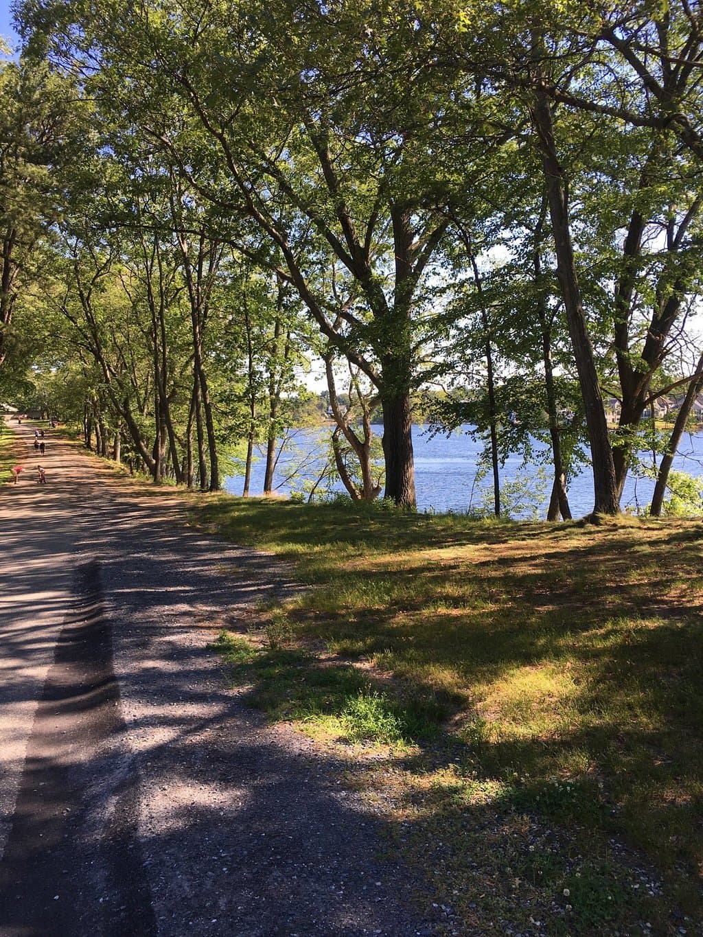 Beautiful park in the city- excellent facilities. Walk, picnic or beach it.