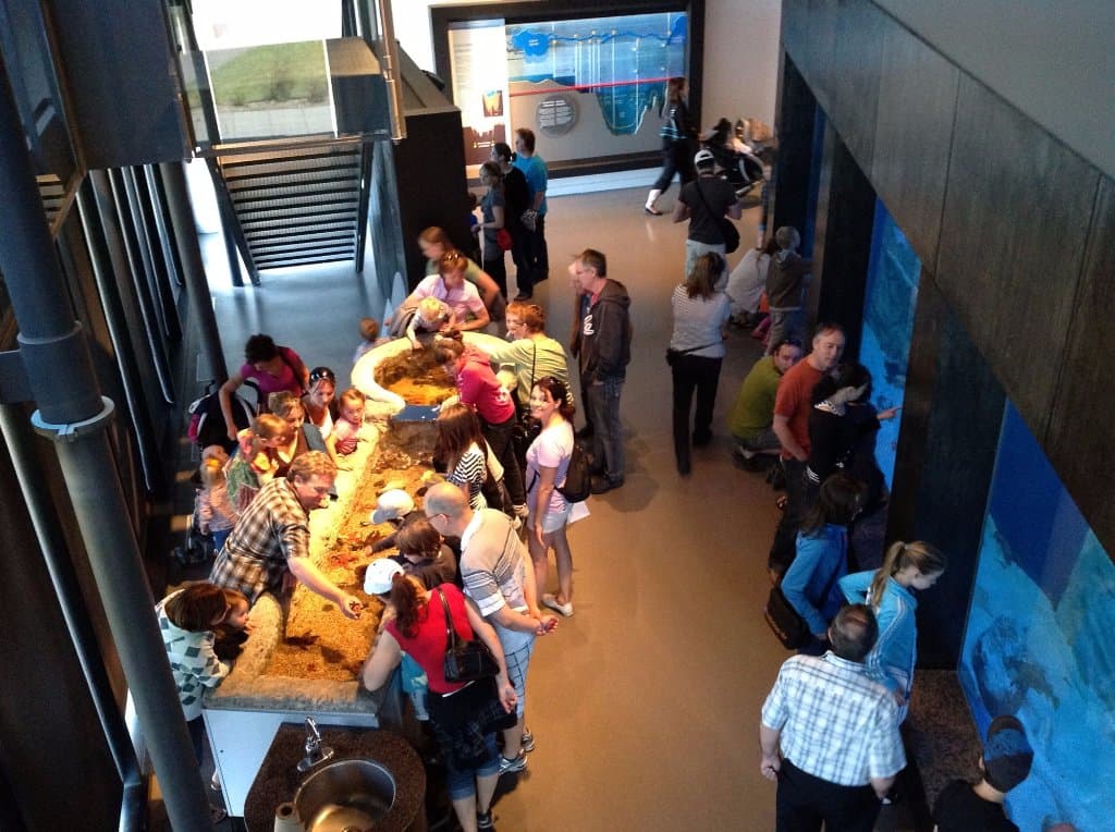L'Aquarium du Fjord et le bassin de manipulation (The Fjord Aquarium and the touch tank)