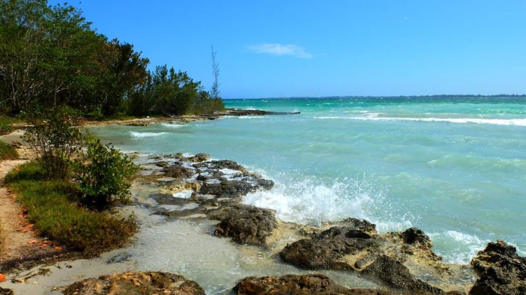 un coin de plage (plus sauvage) de Playa larga