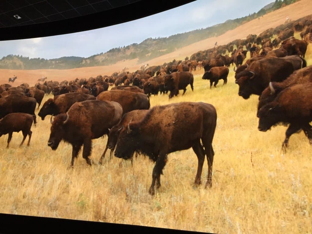 Wonderful Visitor Center