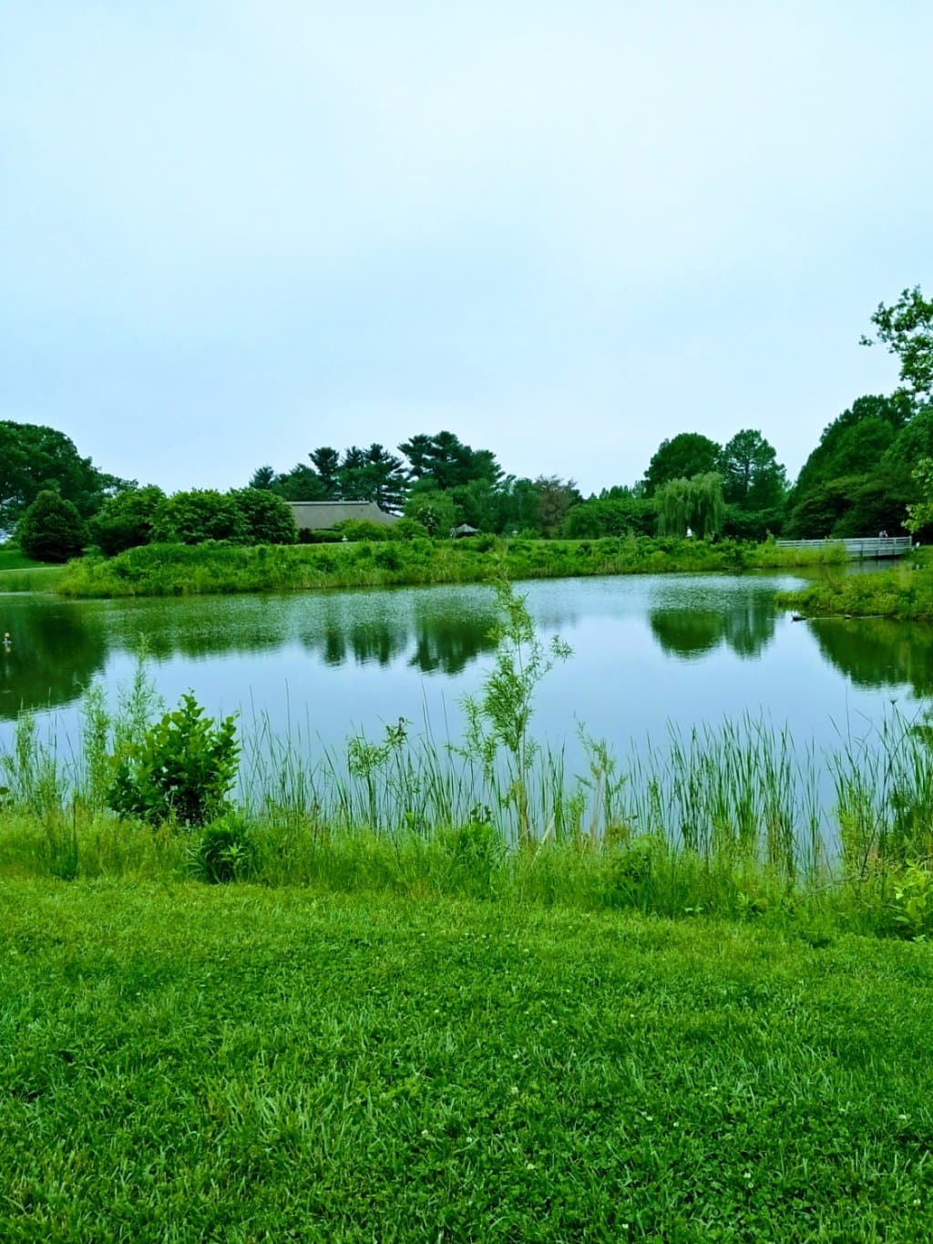 perfect landscape