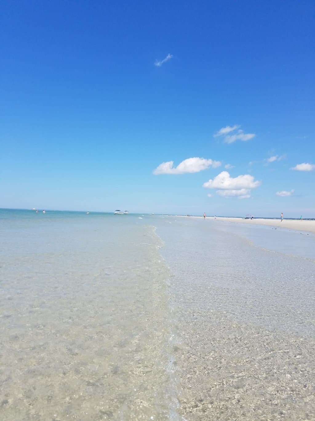 Paine's Creek Beach at Low Tide