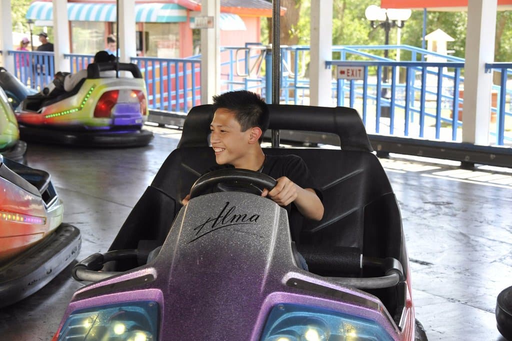 Bumper Cars