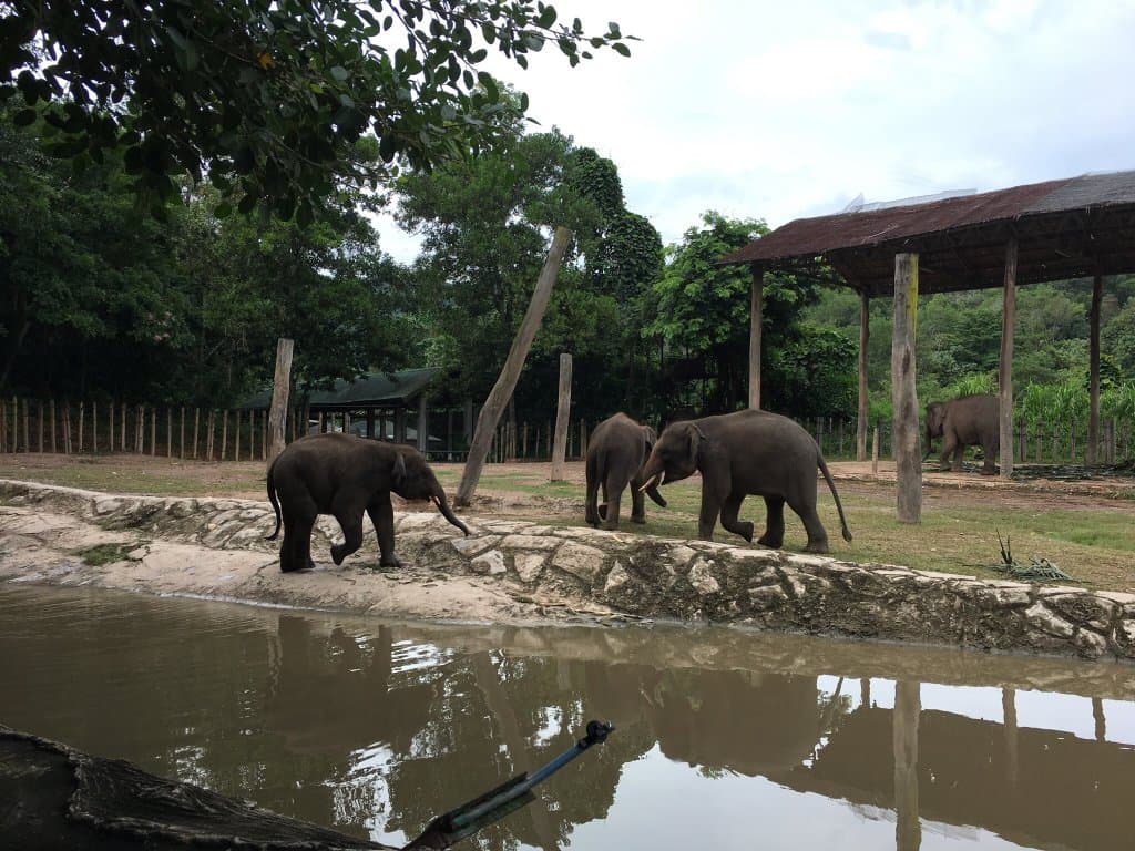 Tagal Tinopikon Park