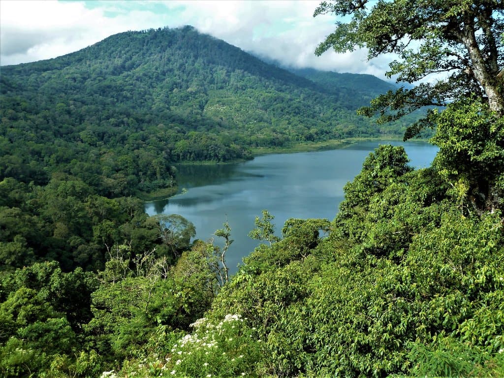 Tamblingan Lake