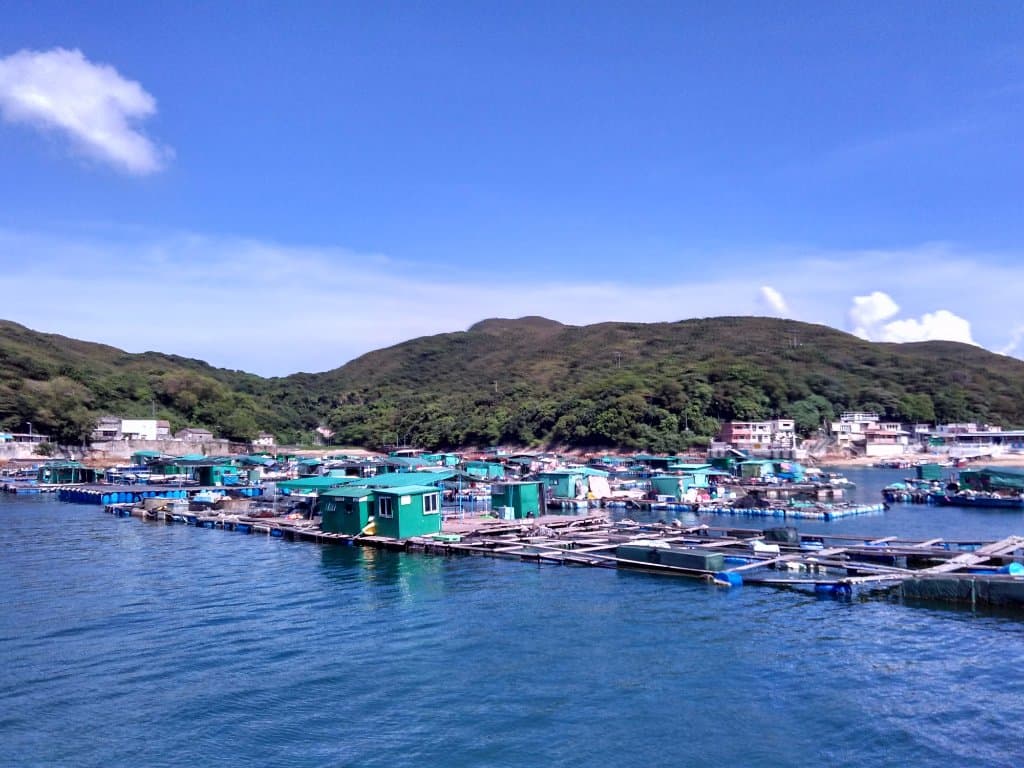 during the boat trip