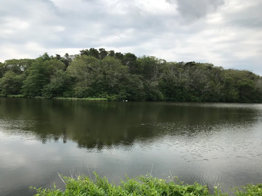 Old Town Burial Ground