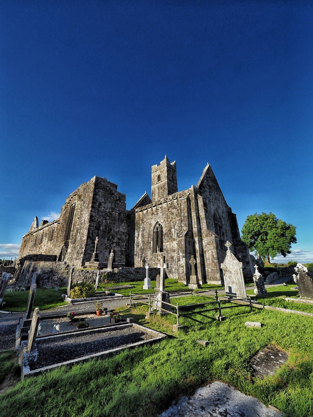 Quin Abbey