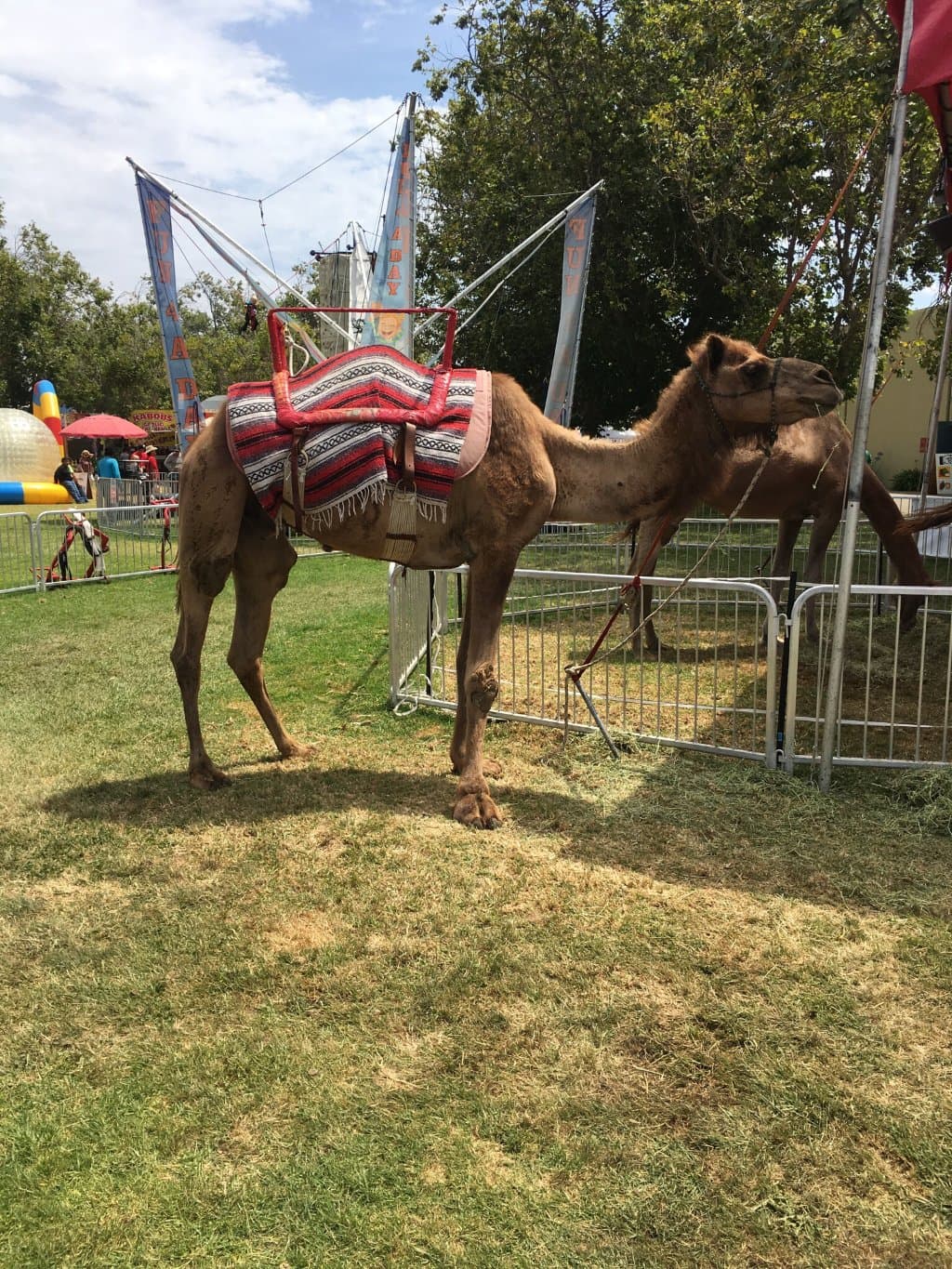 Santa Maria Fairpark