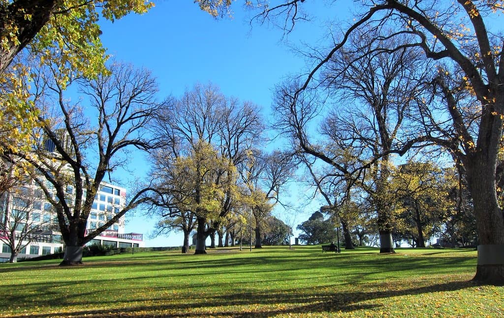 Beautiful blue skies on a chilly winter morning