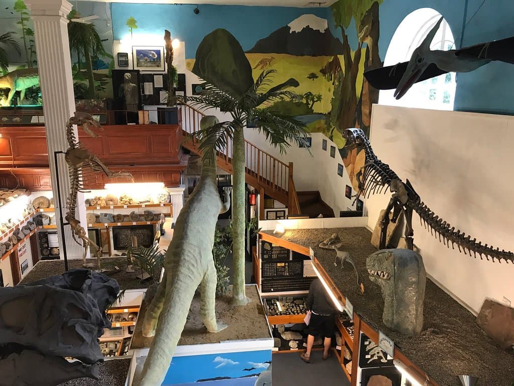 Dinosaurland Fossil Museum