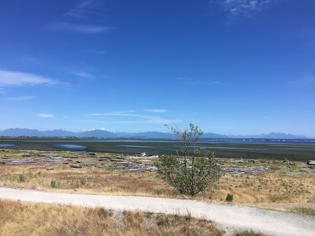 Boundary Bay Regional Park Centennial Beach