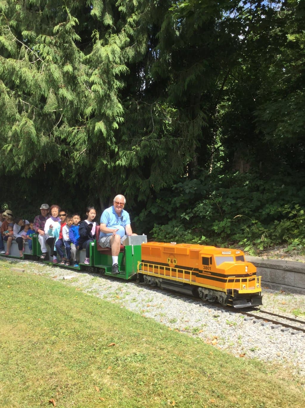 Trains passing beside the forest.