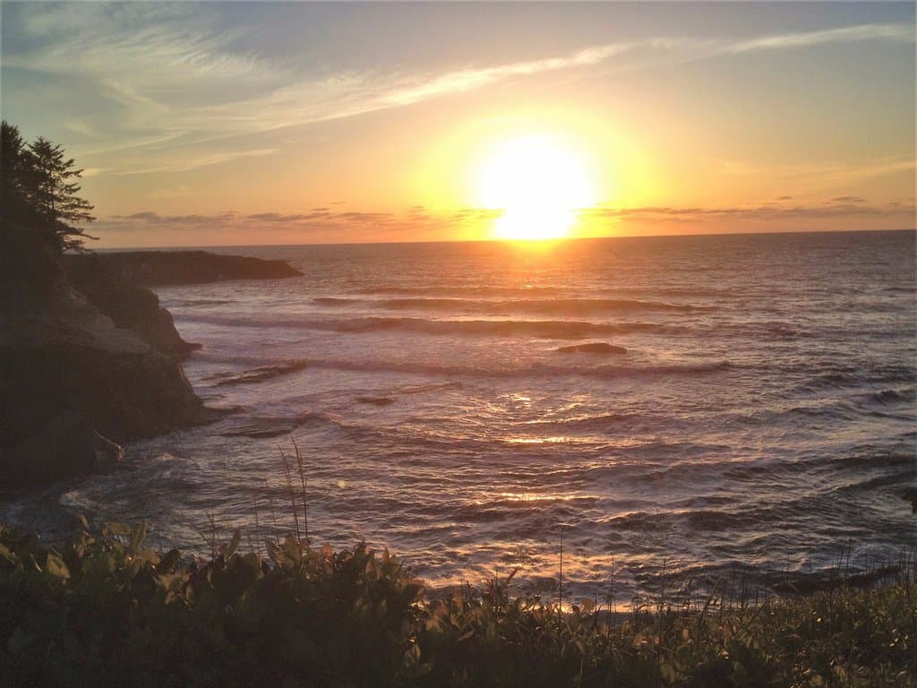 Drive back North on Hwy 101 to view Boiler Bay (only on roadside)
