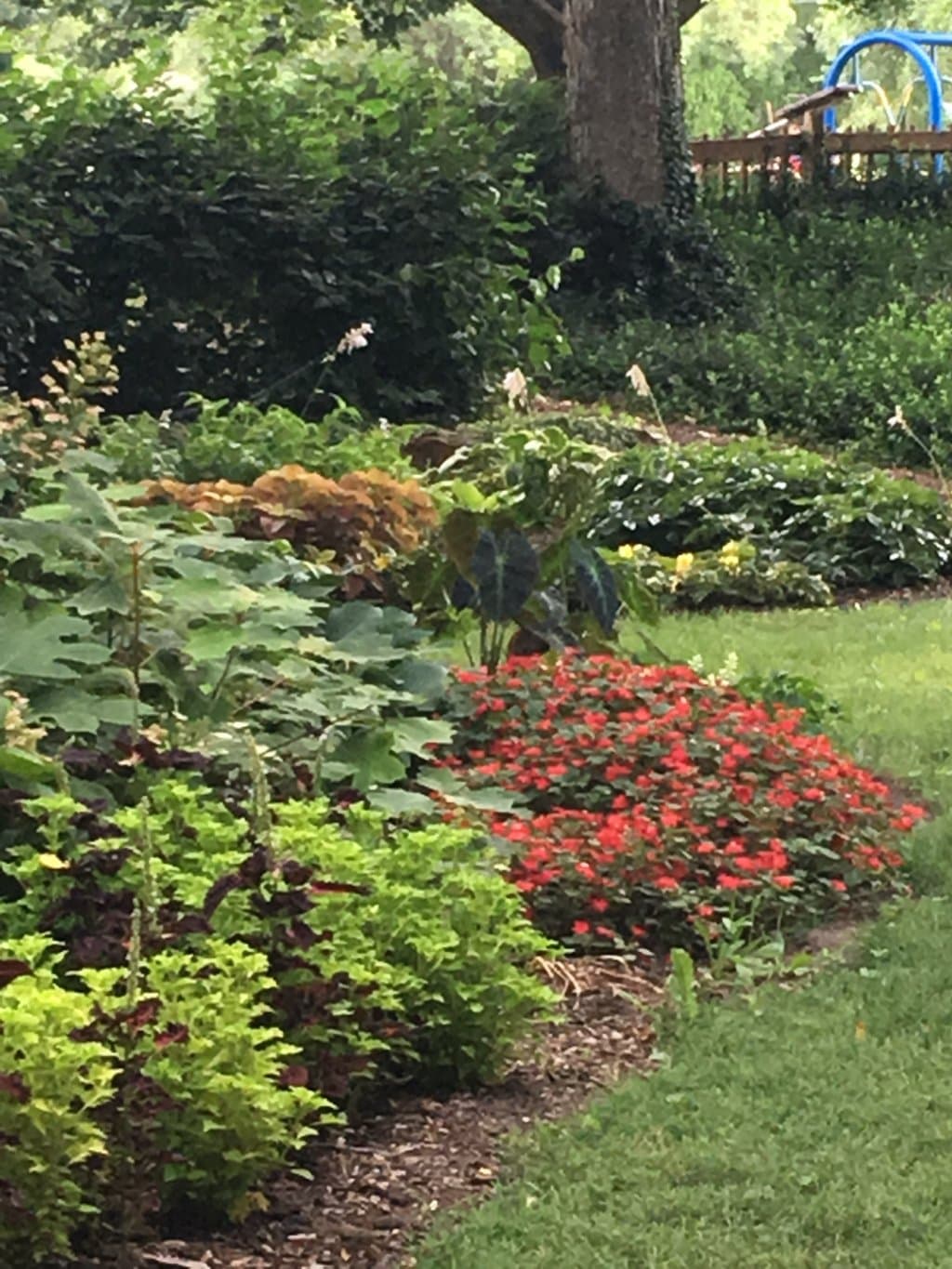 Shunga flower garden