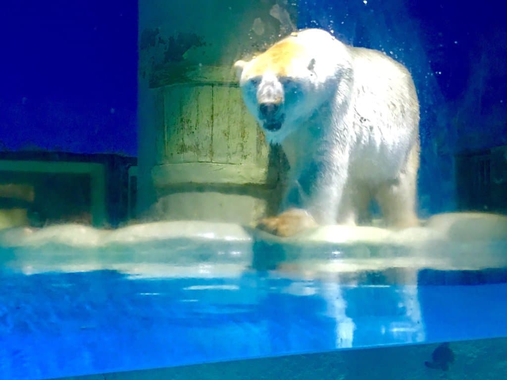 Sun Asia Ocean World Shengya