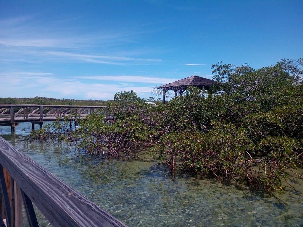 Bonefish Pond National Park