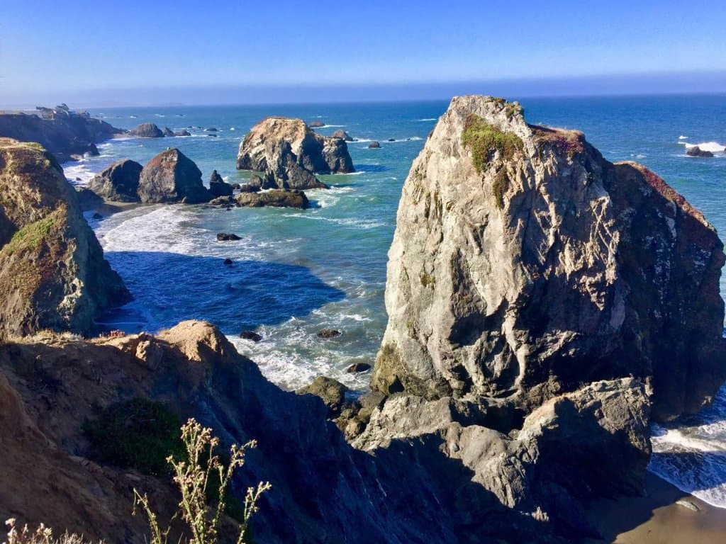 Sonoma State Coast Beach 45