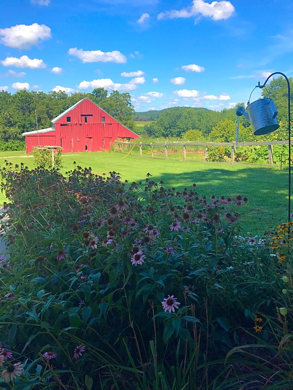 Bias Vineyards & Winery