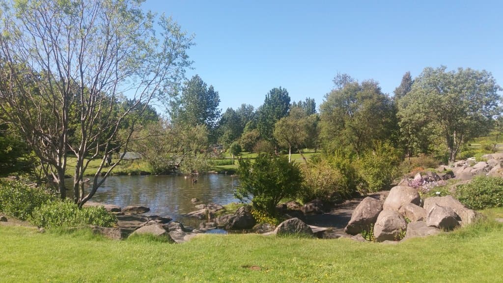 the pond