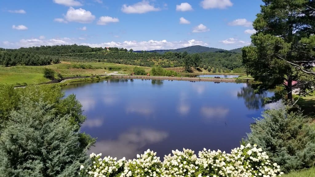 Mercier Orchards