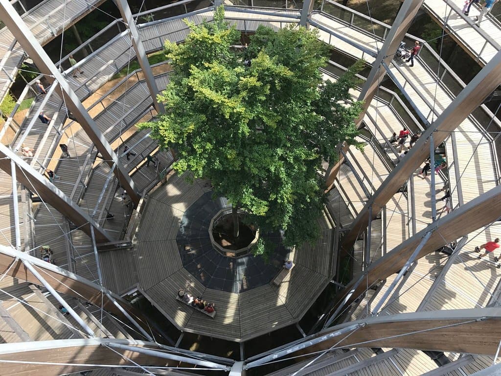 Steigerwald Treetop Walk