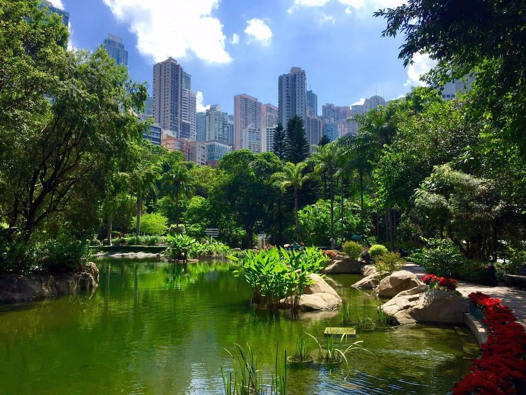 This pond is very relaxing