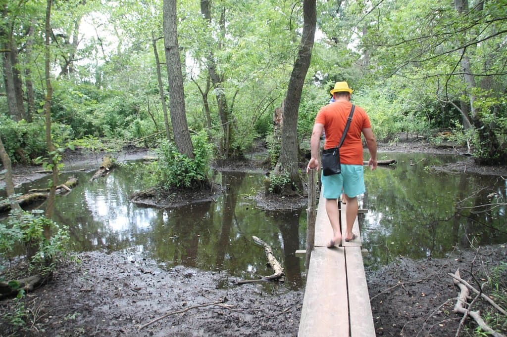 Letea Forest Reserve Danube Delta