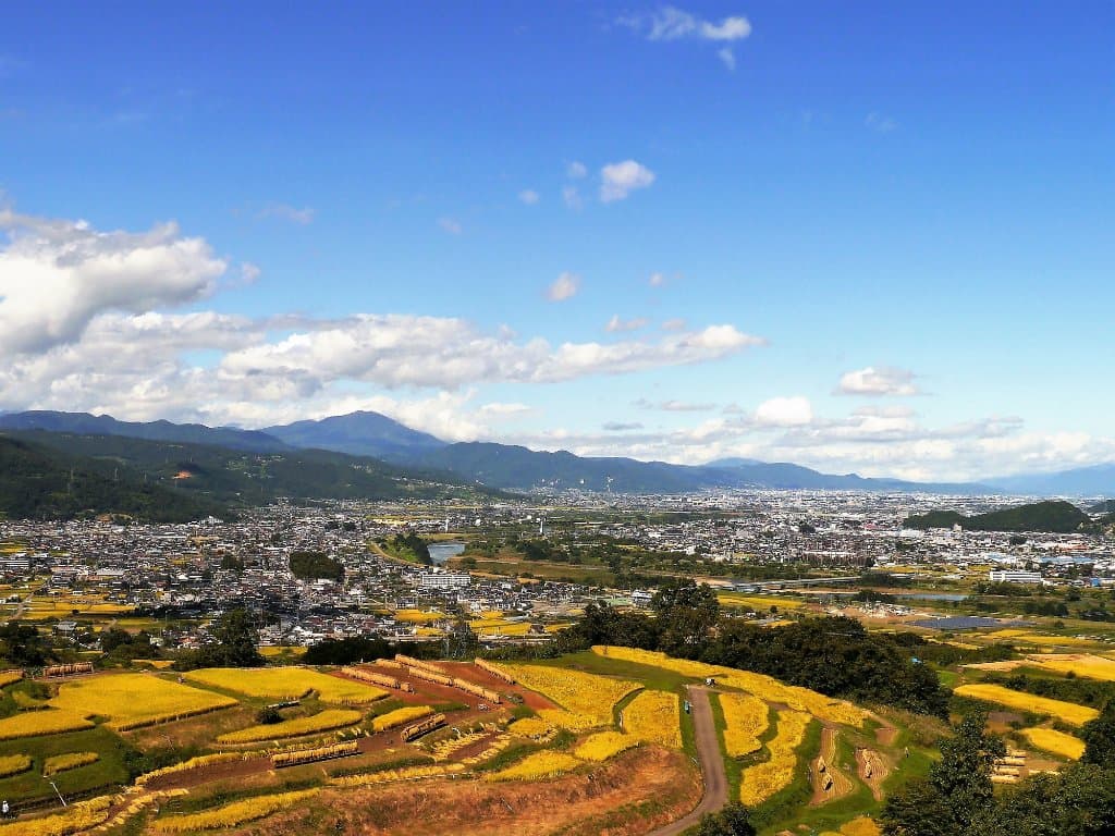 秋（9月下旬）稲刈り Autumn (September to November) ; End of September is time of the harvest rice.