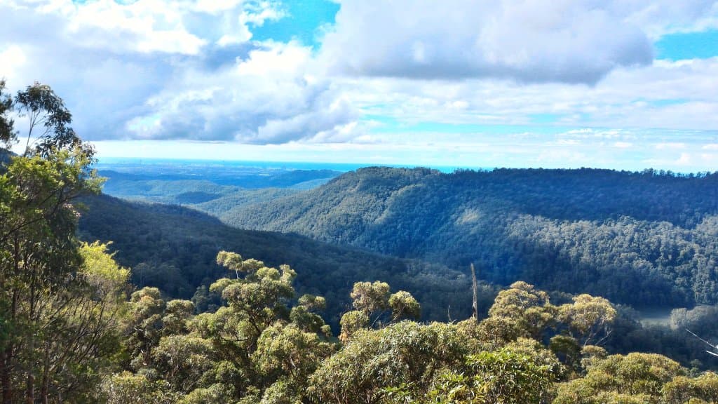 Best Of All Lookout