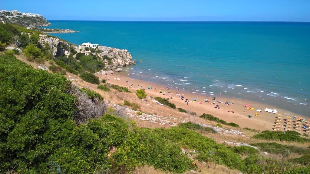 Nice sandy beach