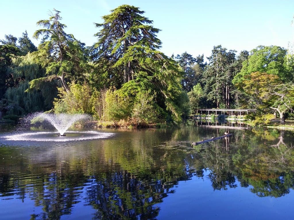 One of the ponds with a fountain and turtles sunning on the log