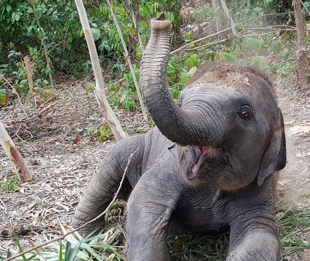 getlstd_property_photo