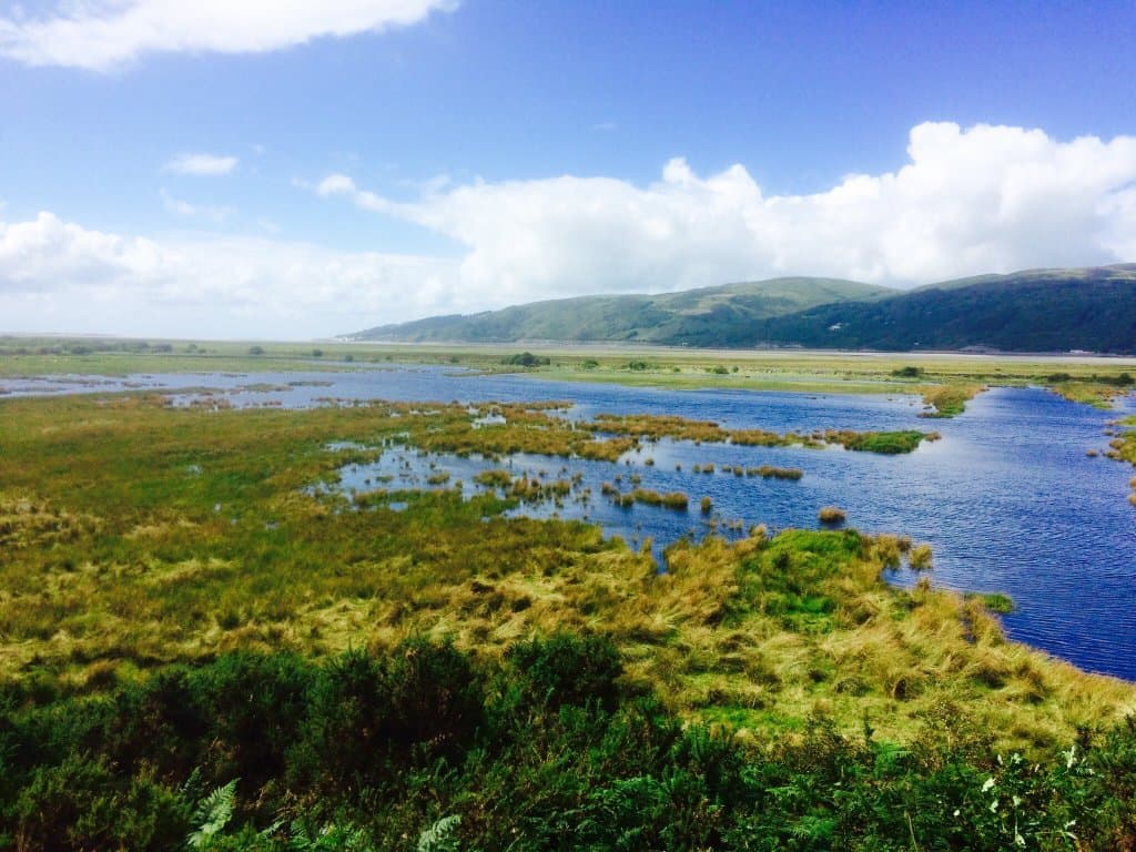Allt-yr-yn Nature Reserve
