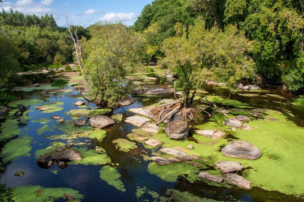El Río Miño