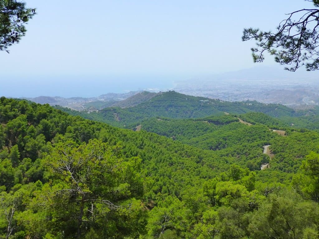 Vista general