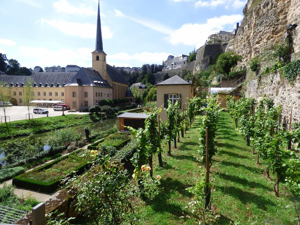 And vineyards too!