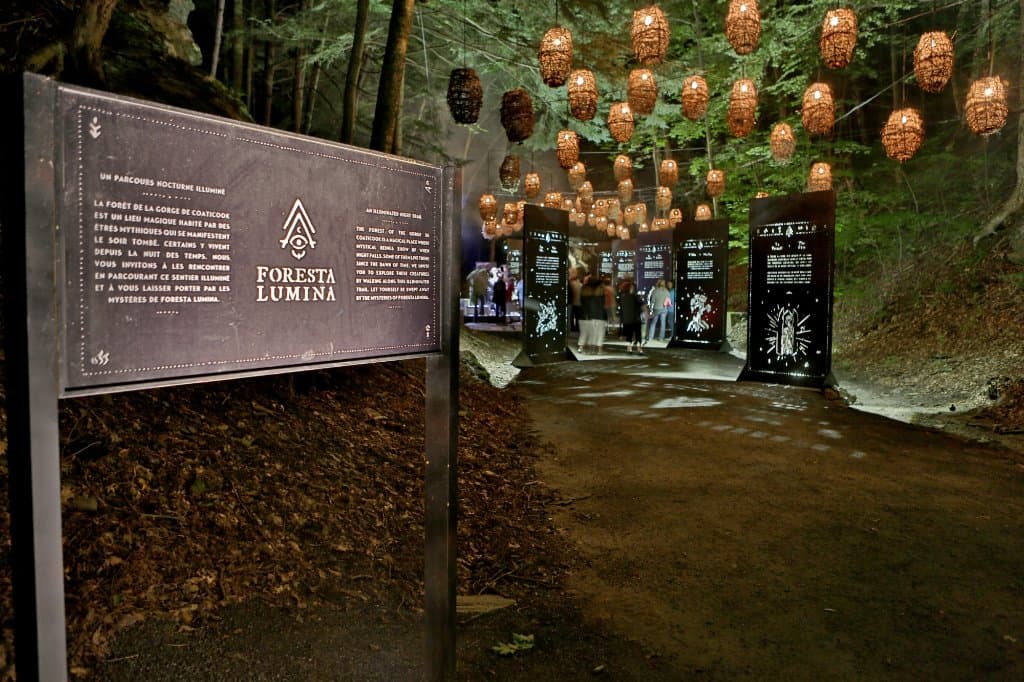Découvrez le monde enchanté de Foresta Lumina et laissez-vous emporter par sa magie.