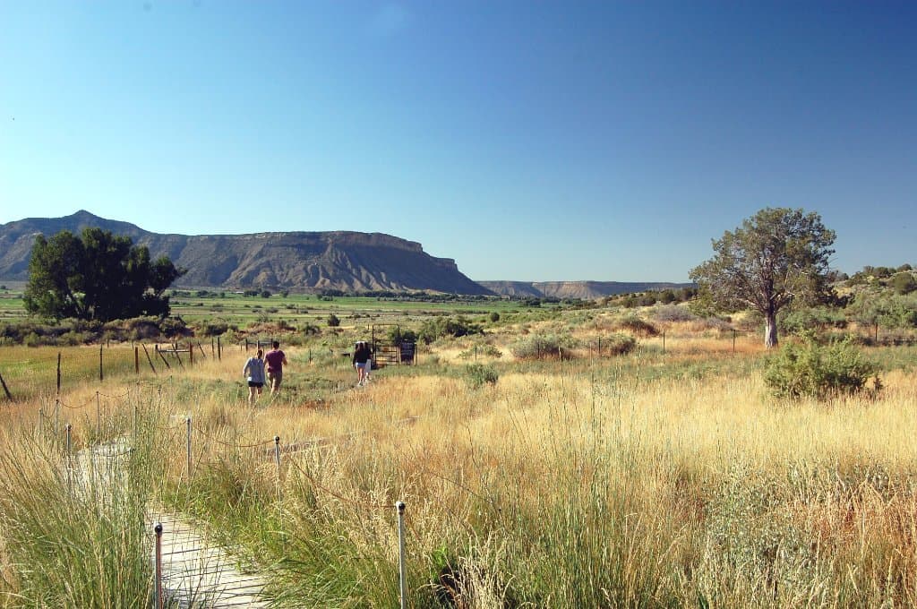 Panoramic View of the Site Showing Boardwalk Entry Path