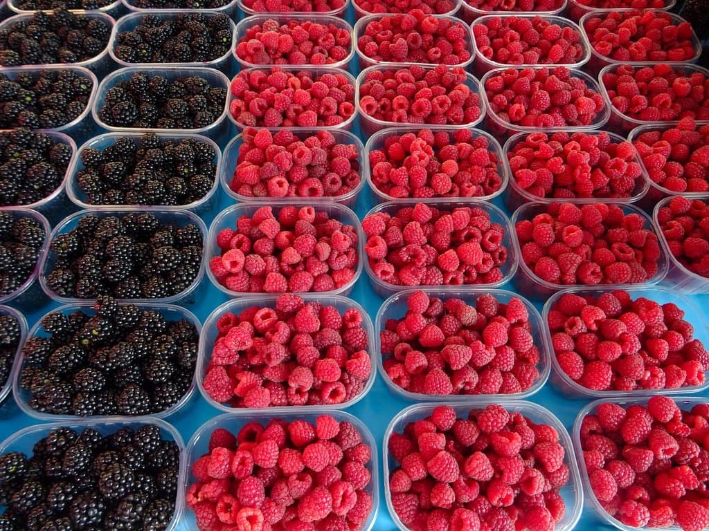 Fresh berries