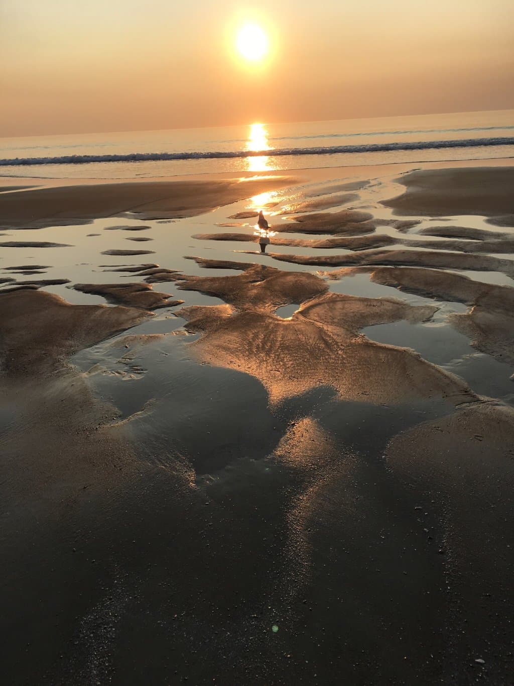 Moody Beach