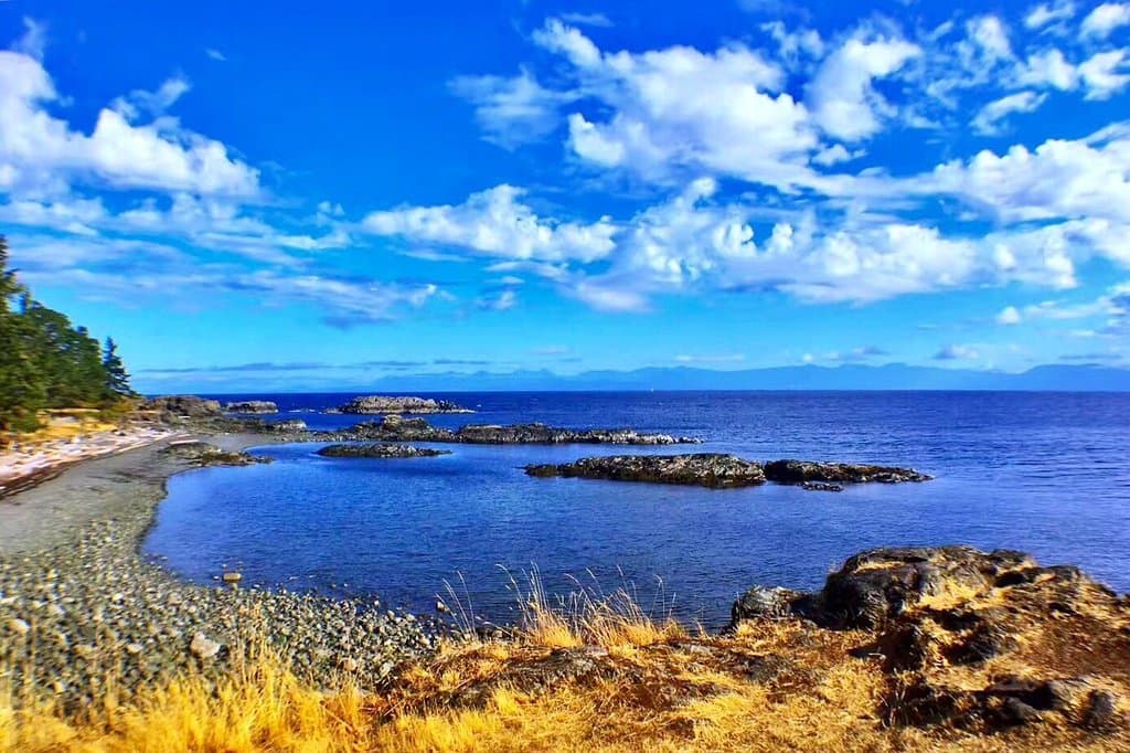 Neck Point Park is a amazing place in Nanaimo. The wonderful views, great walking track and dogs