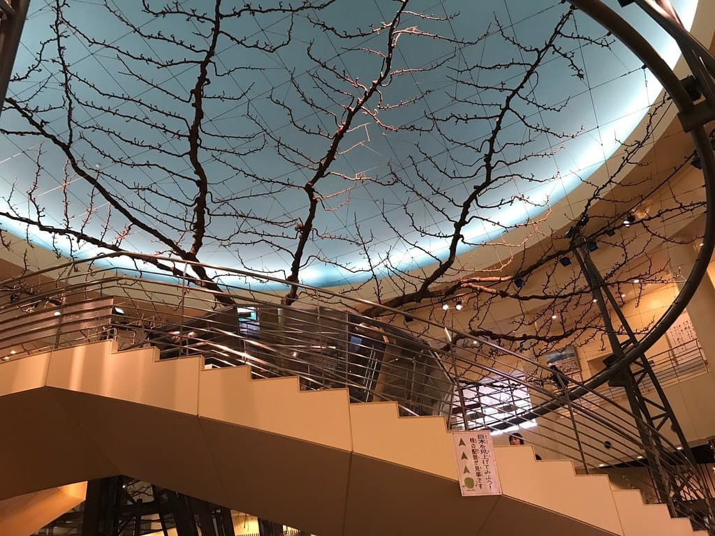 Nijisseiki Pear Museum