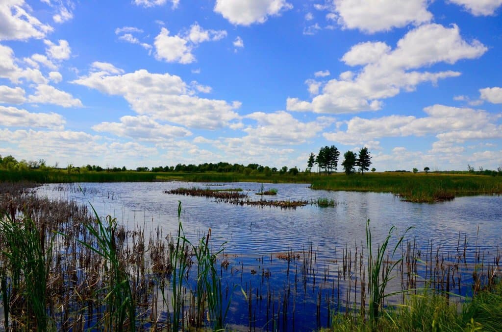 Sherburne National Wildlife Refuge Minnesota