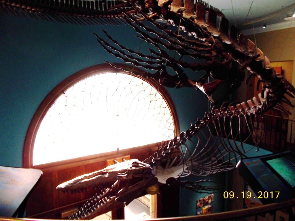 Lobby with gigantic dinosaur