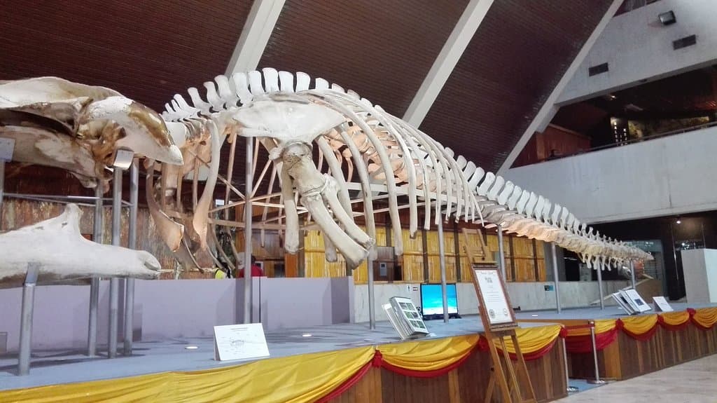 Sabah State Museum and Heritage Village
