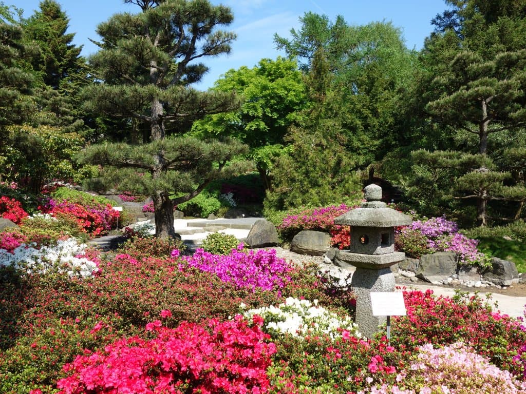 Japangarten