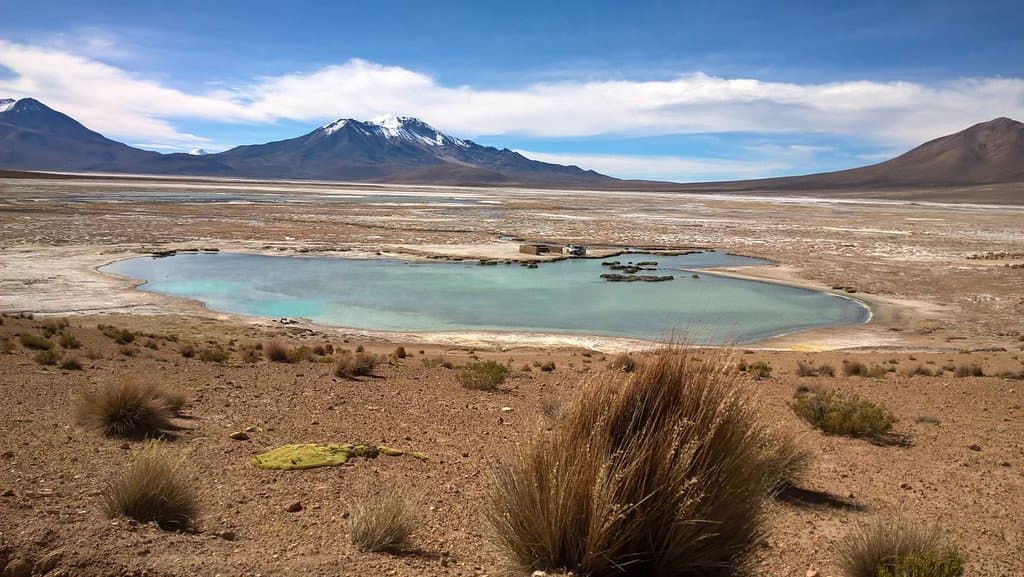 Salar Surire