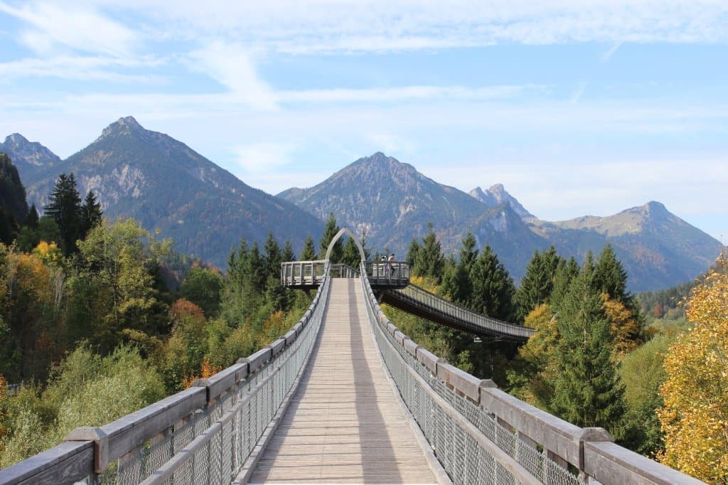 Auf dem Baumkronenweg