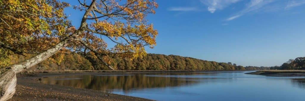 Strawberry Trail Hamble Valley